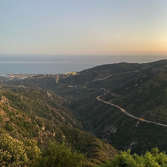 Meet your Posher, Jane - Picture 1 of 1